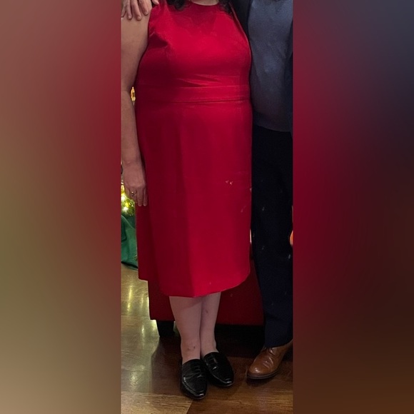 BNWT KASPER Lined Sleeveless Waistband Knee Length Sheath Stretch Crepe Dress - Picture 8 of 8